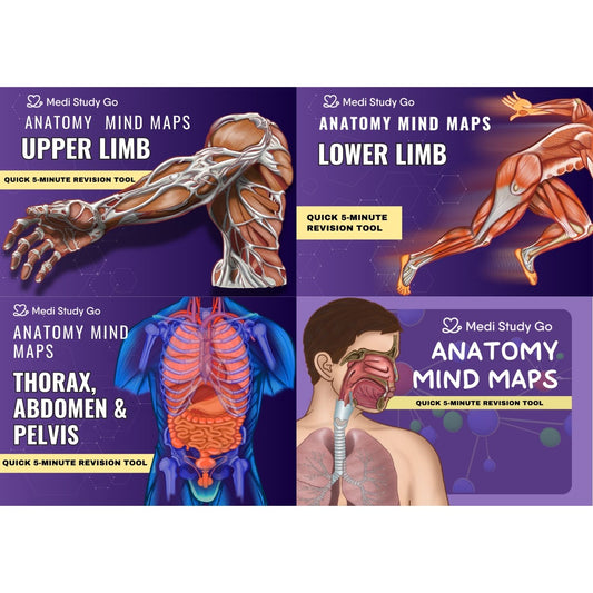 Anatomy bundle (UL, LL, Head and Neck, Abdomen Thorax and Pelvis)