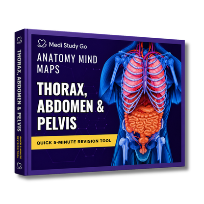 Abdomen, Thorax and Pelvis (MBBS/BPT)