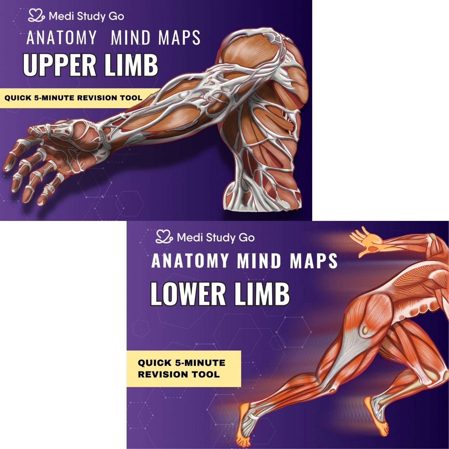 Upper Limb and Lower Limb