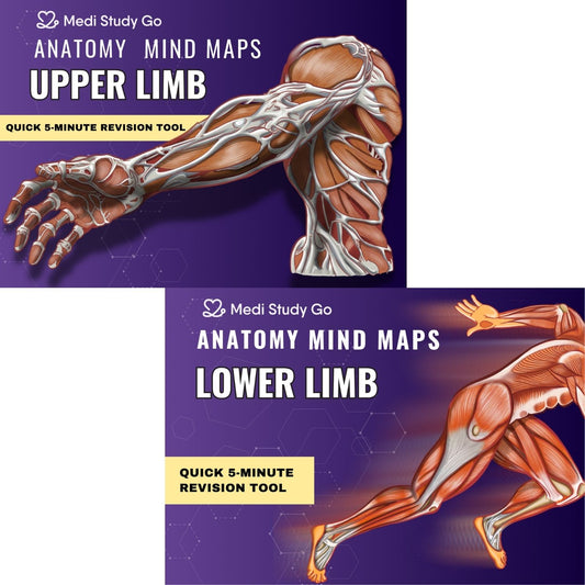 Upper Limb and Lower Limb