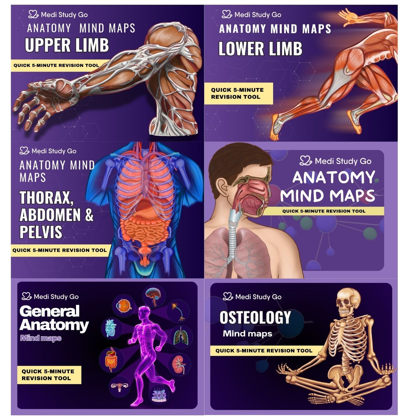 Anatomy bundle + General Anatomy + Osteology