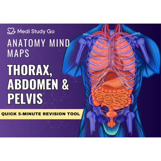 Abdomen, Thorax and Pelvis