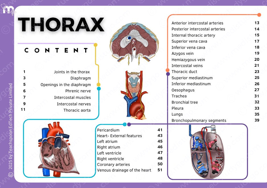 Anatomy bundle + General Anatomy + Osteology