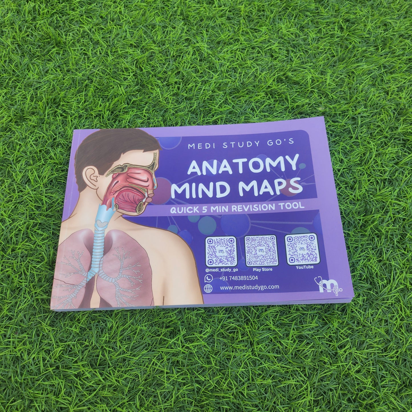 Anatomy bundle (UL, LL, Head and Neck, Abdomen Thorax and Pelvis)