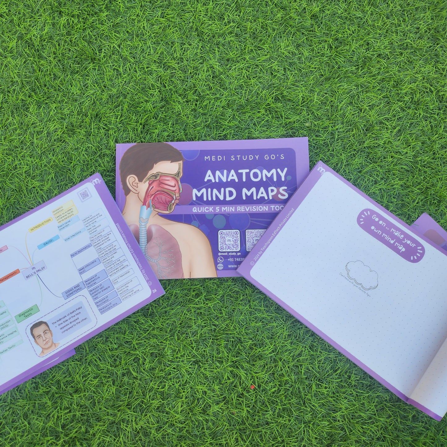 Anatomy bundle (UL, LL, Head and Neck, Abdomen Thorax and Pelvis)