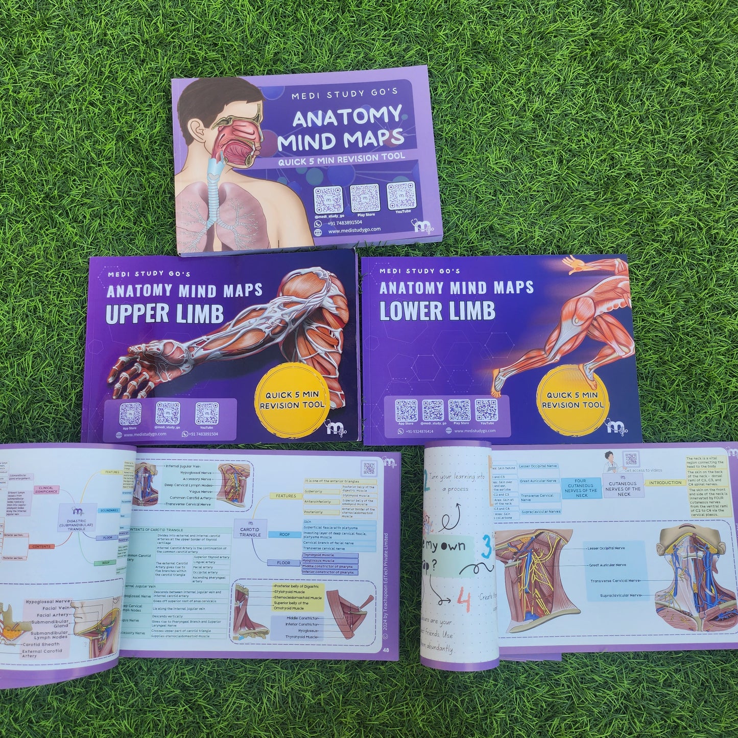 Anatomy bundle (UL, LL, Head and Neck, Abdomen Thorax and Pelvis)