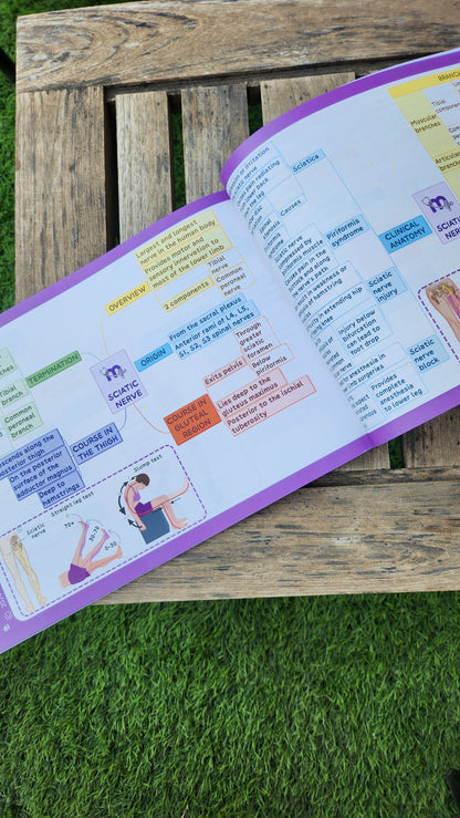 Anatomy bundle (UL, LL, Head and Neck, Abdomen Thorax and Pelvis)