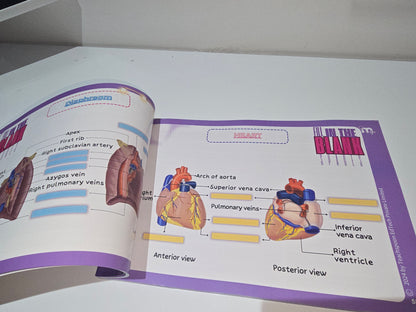 Abdomen, Thorax and Pelvis
