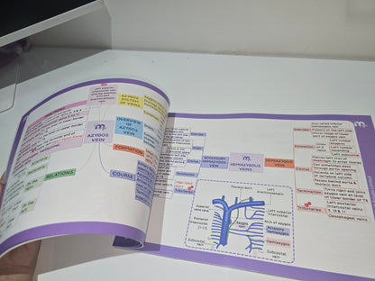 Abdomen, Thorax and Pelvis