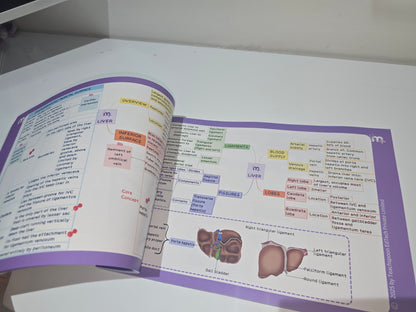 Abdomen, Thorax and Pelvis
