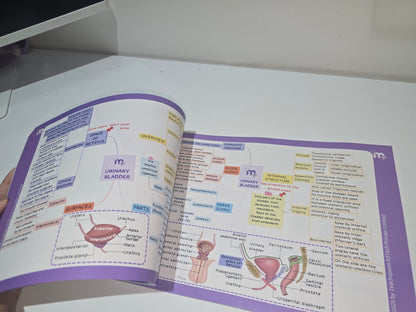 Abdomen, Thorax and Pelvis