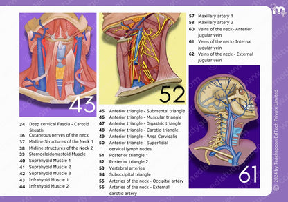 Anatomy bundle + General Anatomy + Osteology