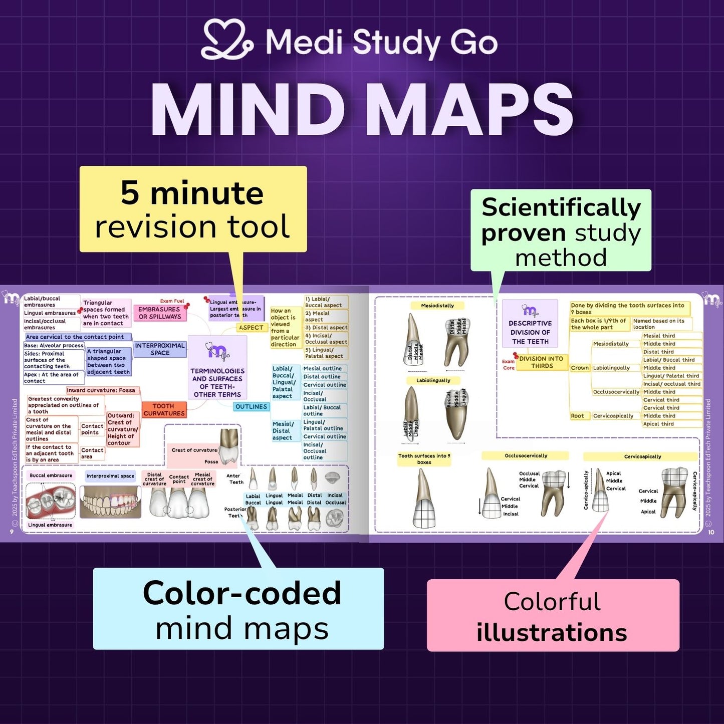 Dental Anatomy and Dental Histology