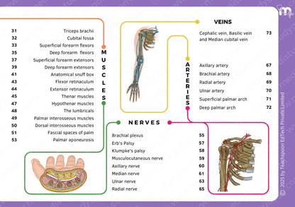 Anatomy bundle + General Anatomy + Osteology