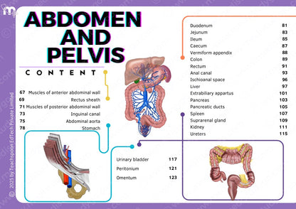 Anatomy bundle + General Anatomy + Osteology