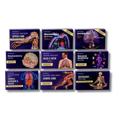 First Year MBBS/BPT Bundle