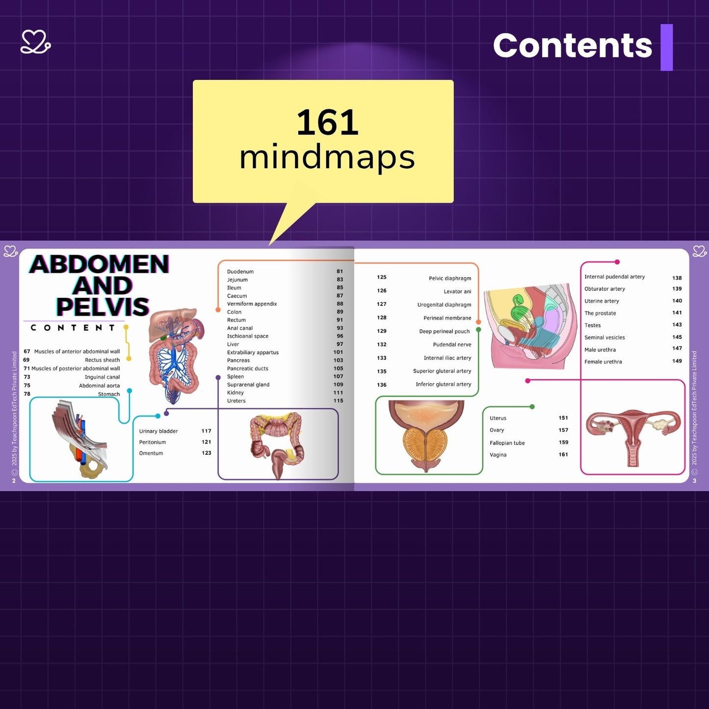 Abdomen, Thorax and Pelvis