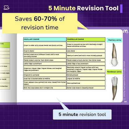 Dental Anatomy and Dental Histology