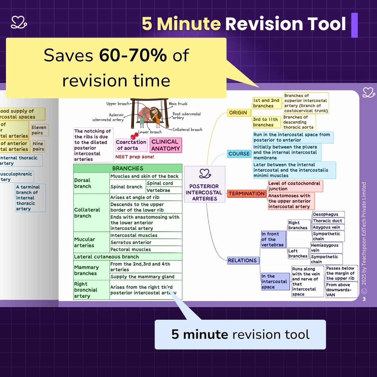 Abdomen, Thorax and Pelvis
