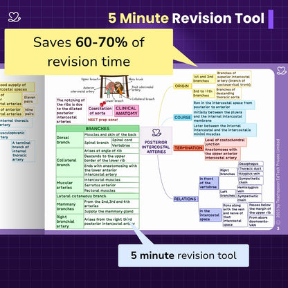 Abdomen, Thorax and Pelvis