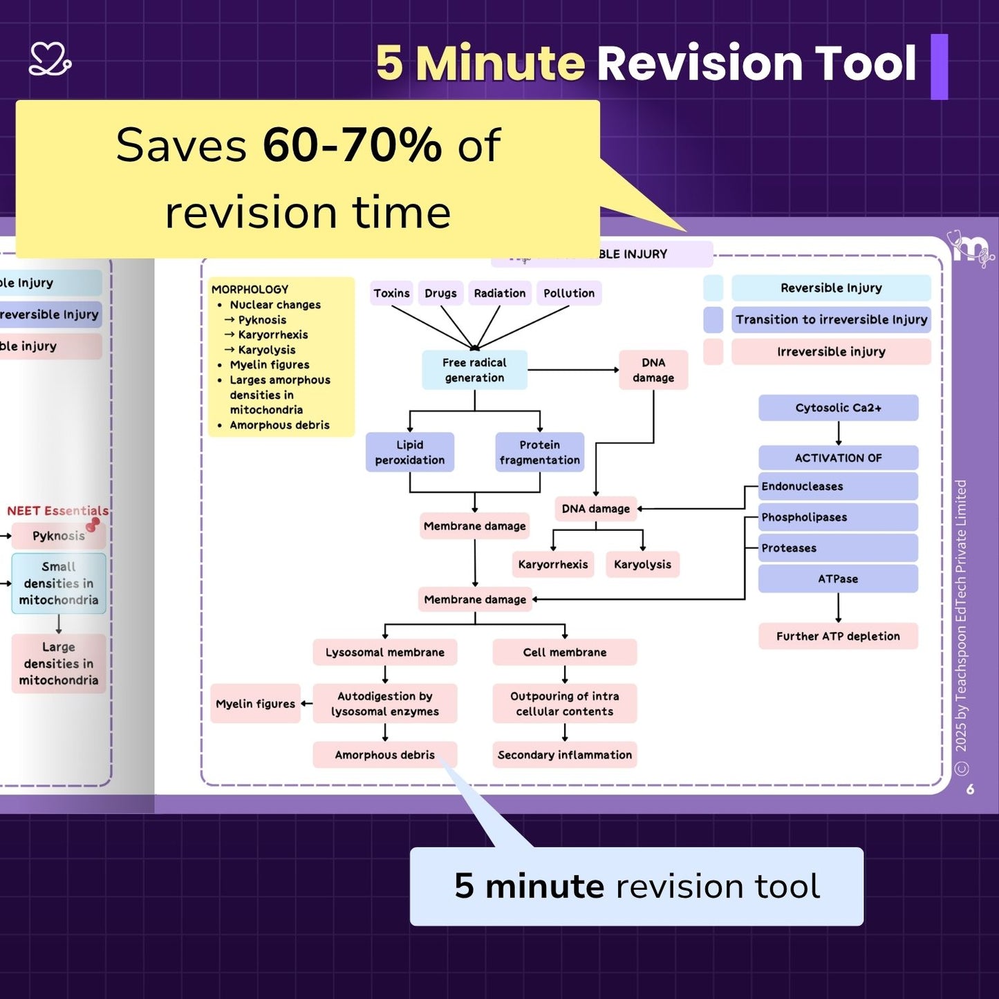 General Pathology - BDS