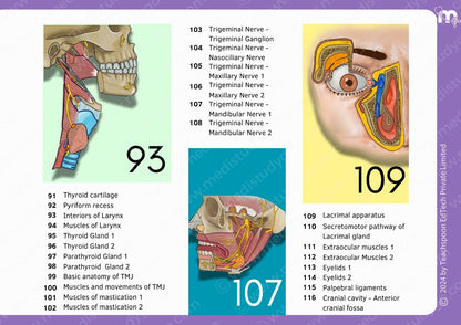 Anatomy bundle + General Anatomy + Osteology