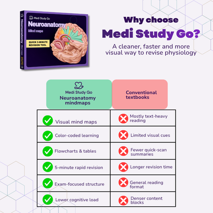 Neuroanatomy