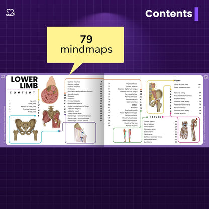 Anatomy bundle + General Anatomy + Osteology