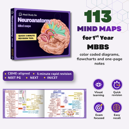 Neuroanatomy