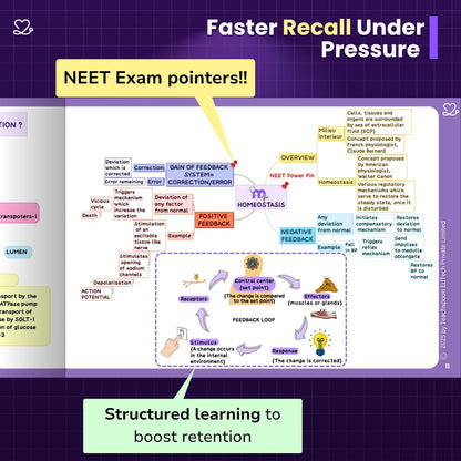 Physiology (MBBS)