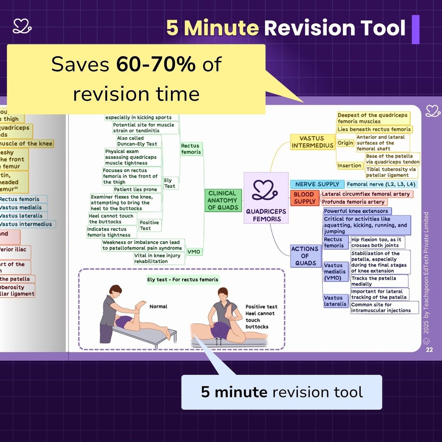 Upper Limb and Lower Limb