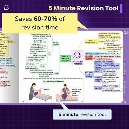 Upper Limb and Lower Limb