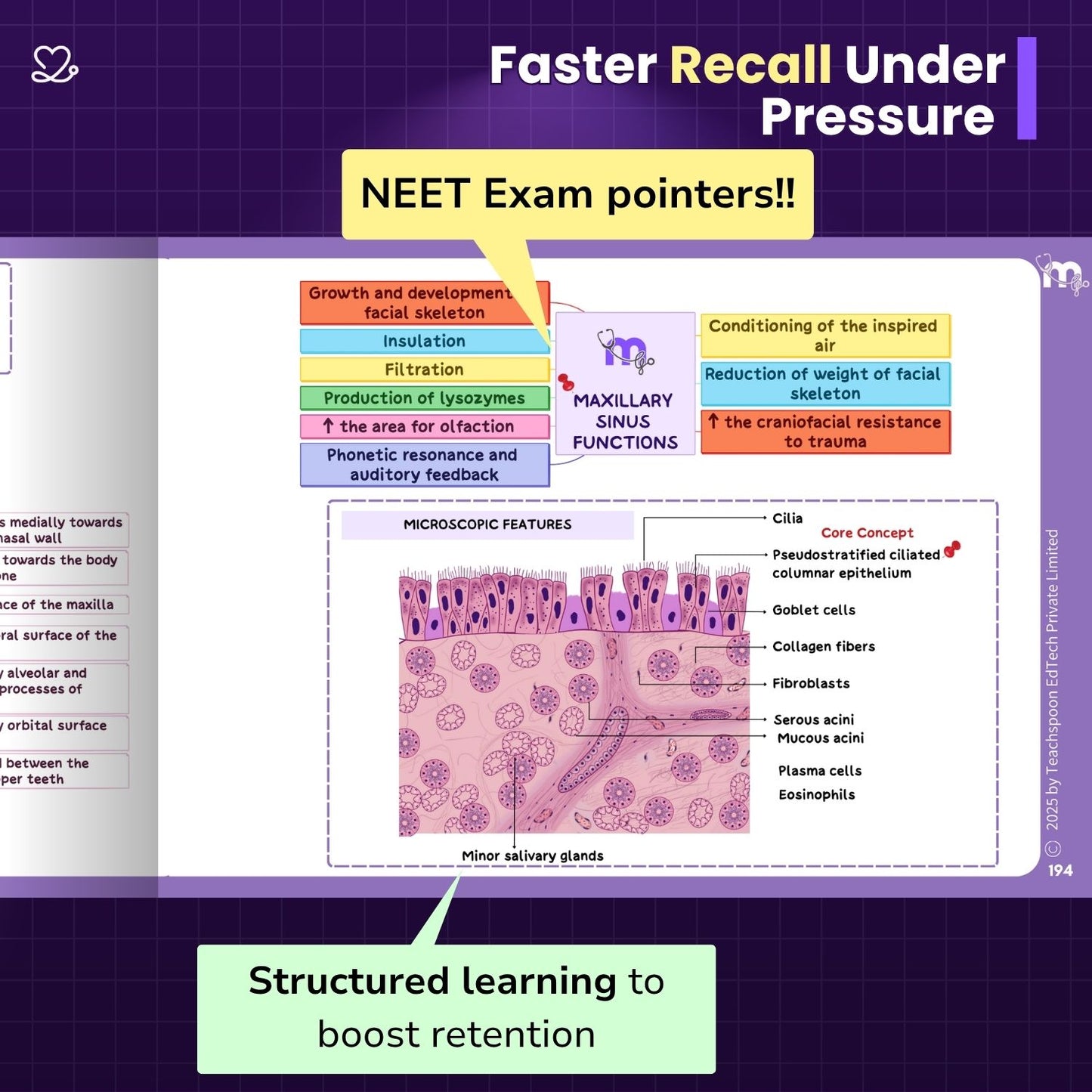 Dental Anatomy and Dental Histology