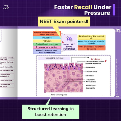 Dental Anatomy and Dental Histology