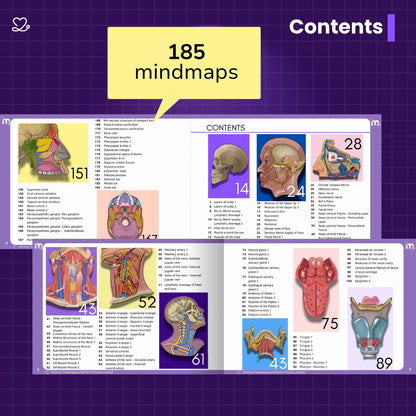 Anatomy bundle + General Anatomy + Osteology