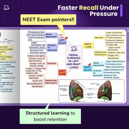 Abdomen, Thorax and Pelvis