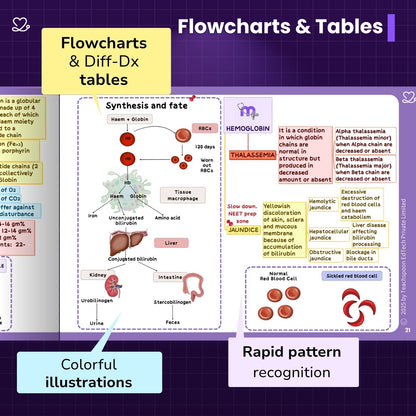 Physiology (MBBS)