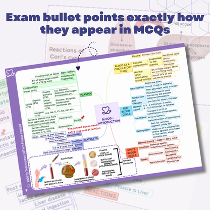 Nursing Physiology