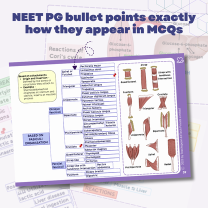 General Anatomy (MBBS/BPT)