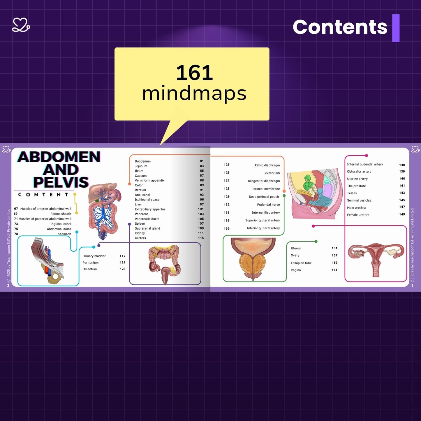 Anatomy bundle + General Anatomy + Osteology