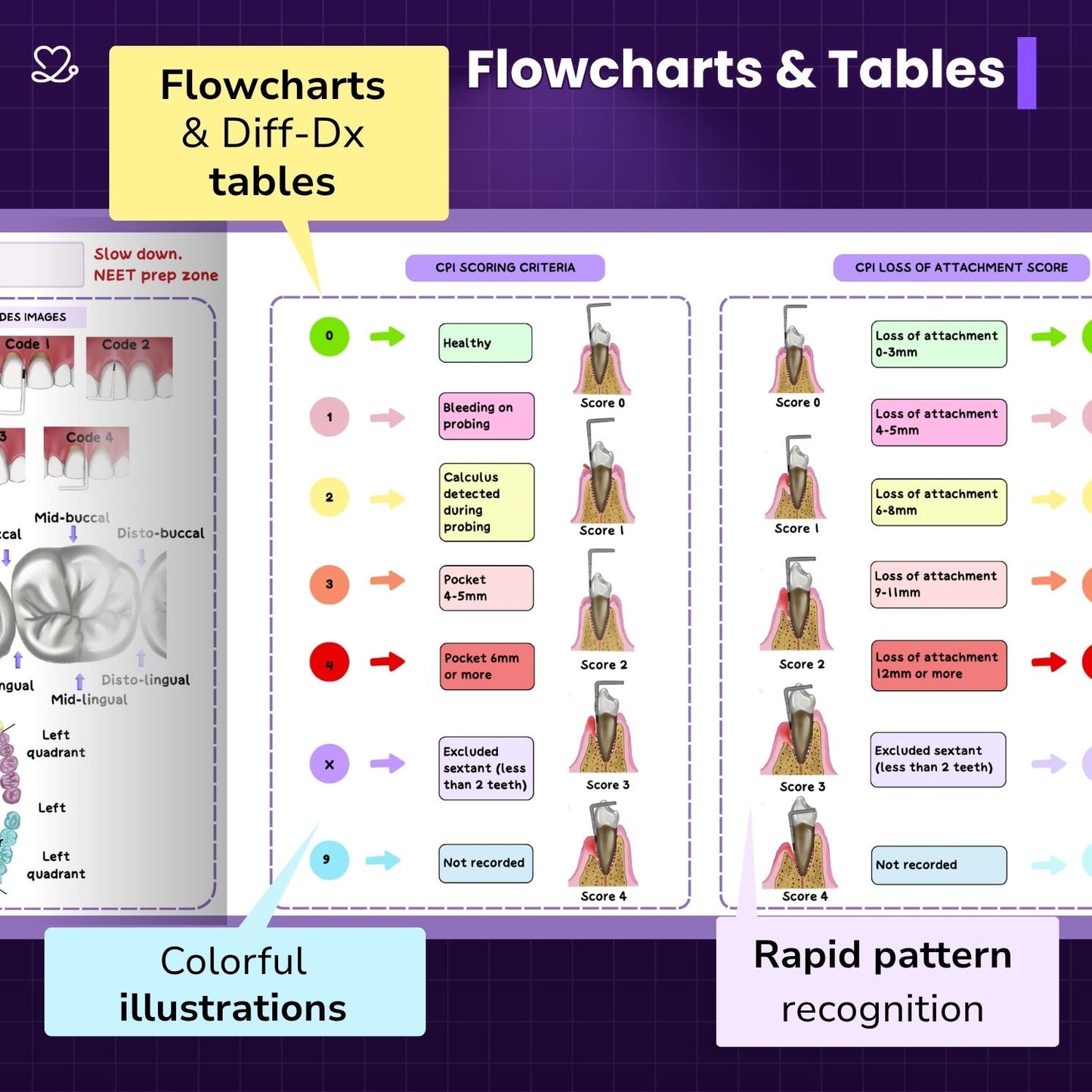 Public Health Dentistry