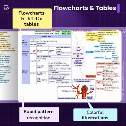 Abdomen, Thorax and Pelvis