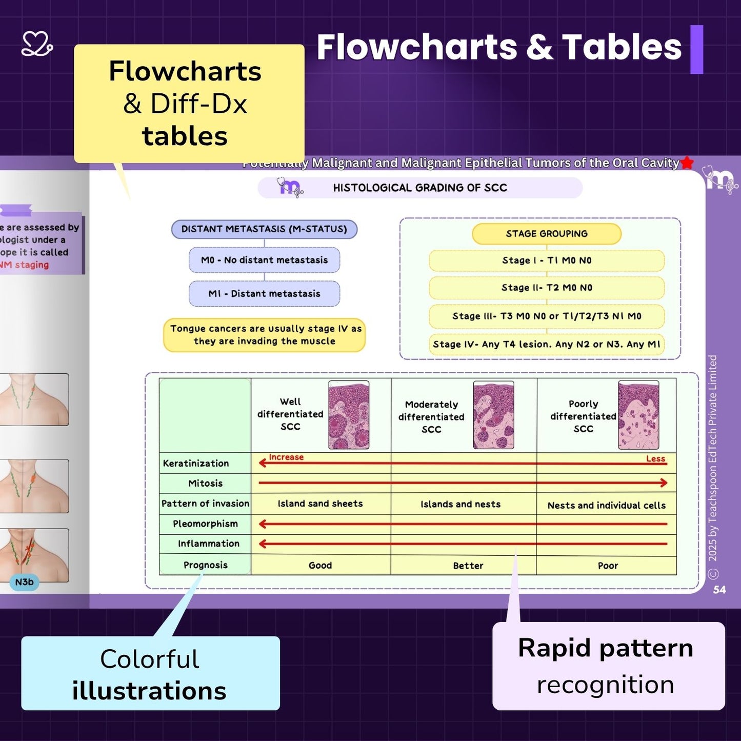 Oral Pathology and microbiology
