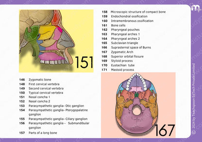 Anatomy bundle + General Anatomy + Osteology