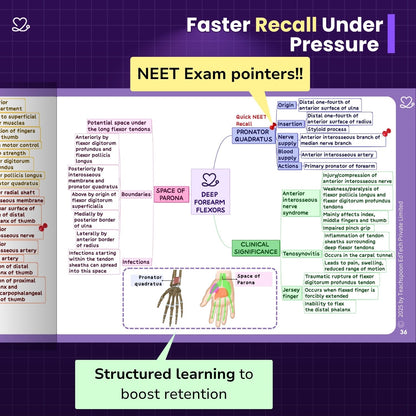 Upper Limb and Lower Limb