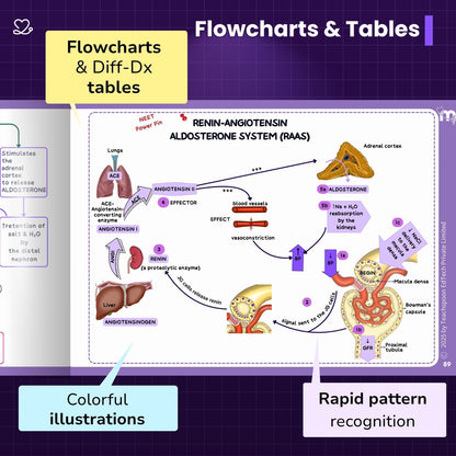 Physiology - BDS