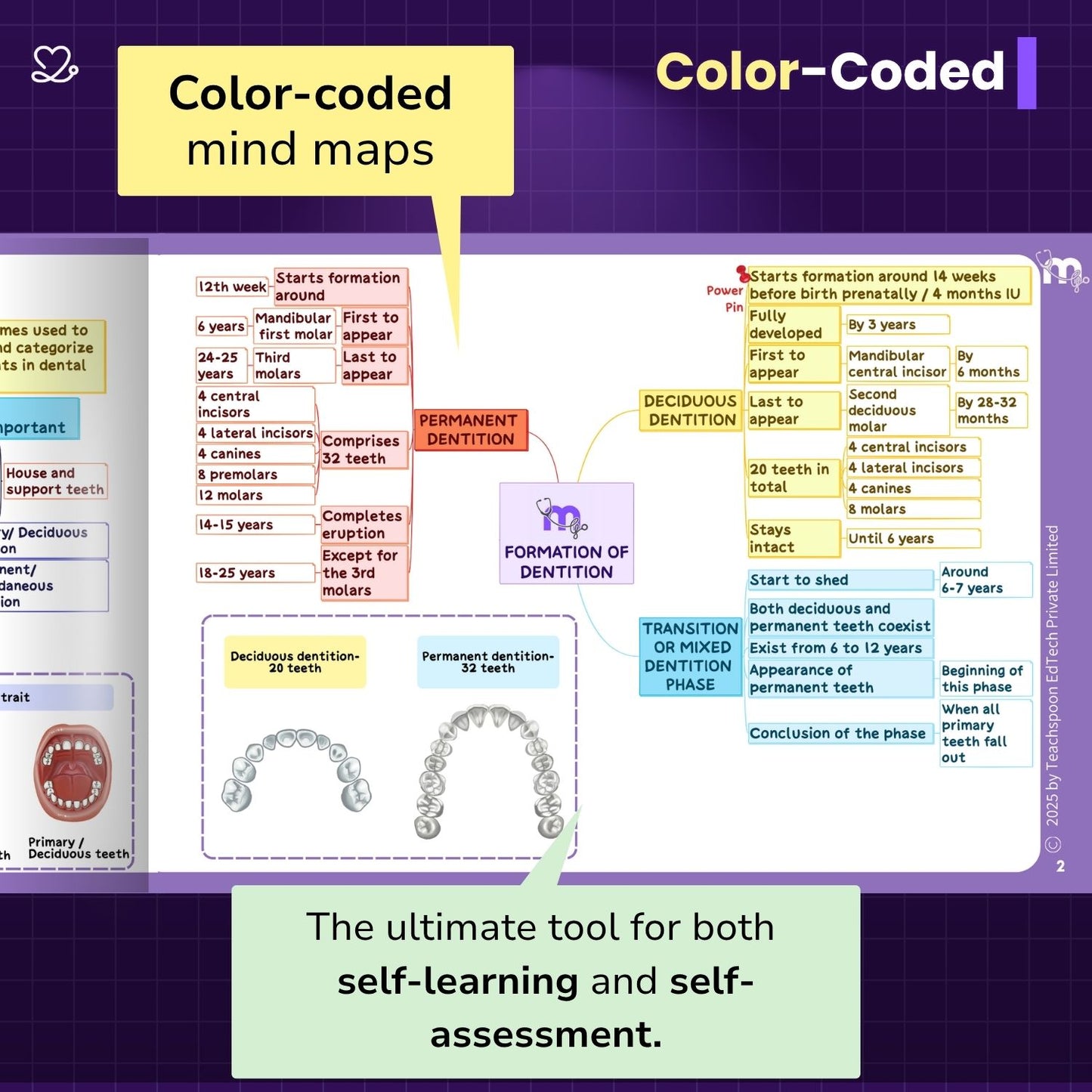 Dental Anatomy and Dental Histology