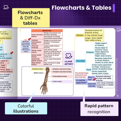 Upper Limb and Lower Limb