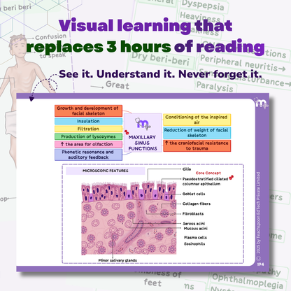 Dental Anatomy and Dental Histology