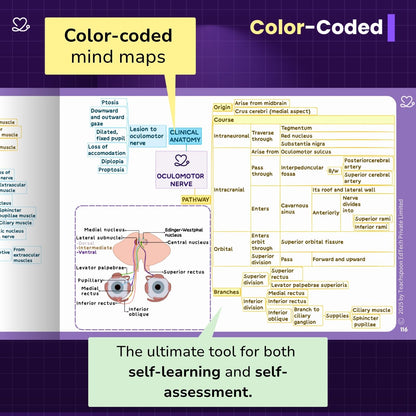 Neuroanatomy